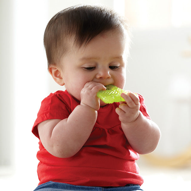 Fun Ice® Chewy Teether